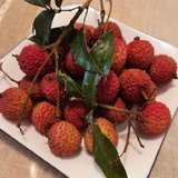 日啖荔枝三百颗，不辞长作岭南人