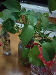 2月悄悄溜走了。。。