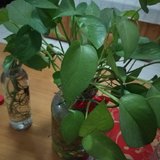 2月悄悄溜走了。。。