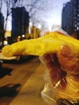 让自由的花沿途绽放