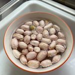 准备水培花生🥜