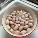 准备水培花生🥜