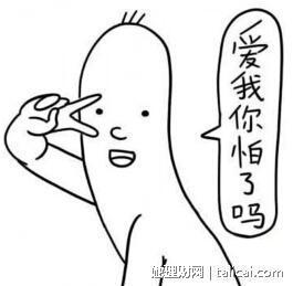 她理财