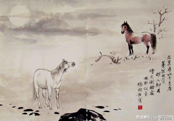 她理财