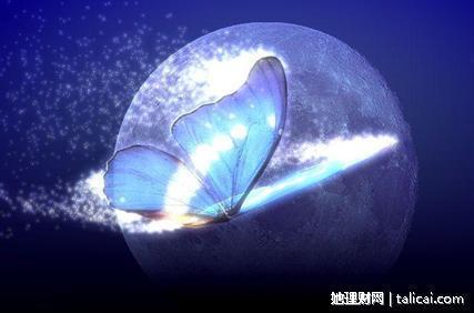 她理财