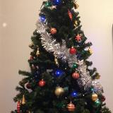 TS的第一个圣诞节 － part 1 圣诞树