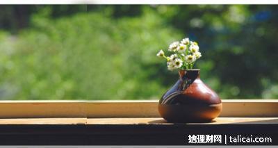 她理财