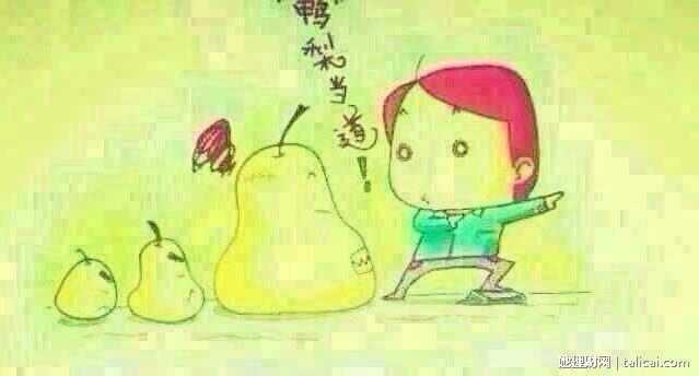 她理财