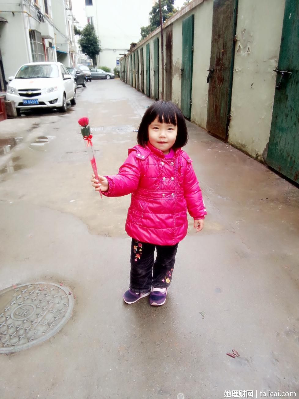 她理财