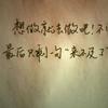 万小凤凤